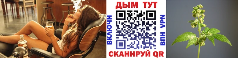 Шишки марихуана планчик  нарко площадка какой сайт  Родники 